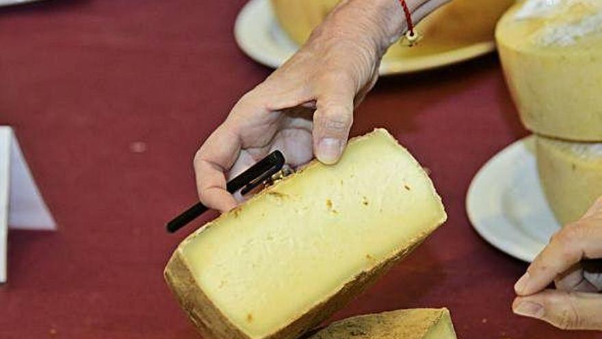 Los mejores especialistas del queso debaten sobre el producto en la Isla