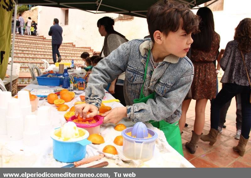 GALERIA FOTOS -- Masiva Festa per la Llengua