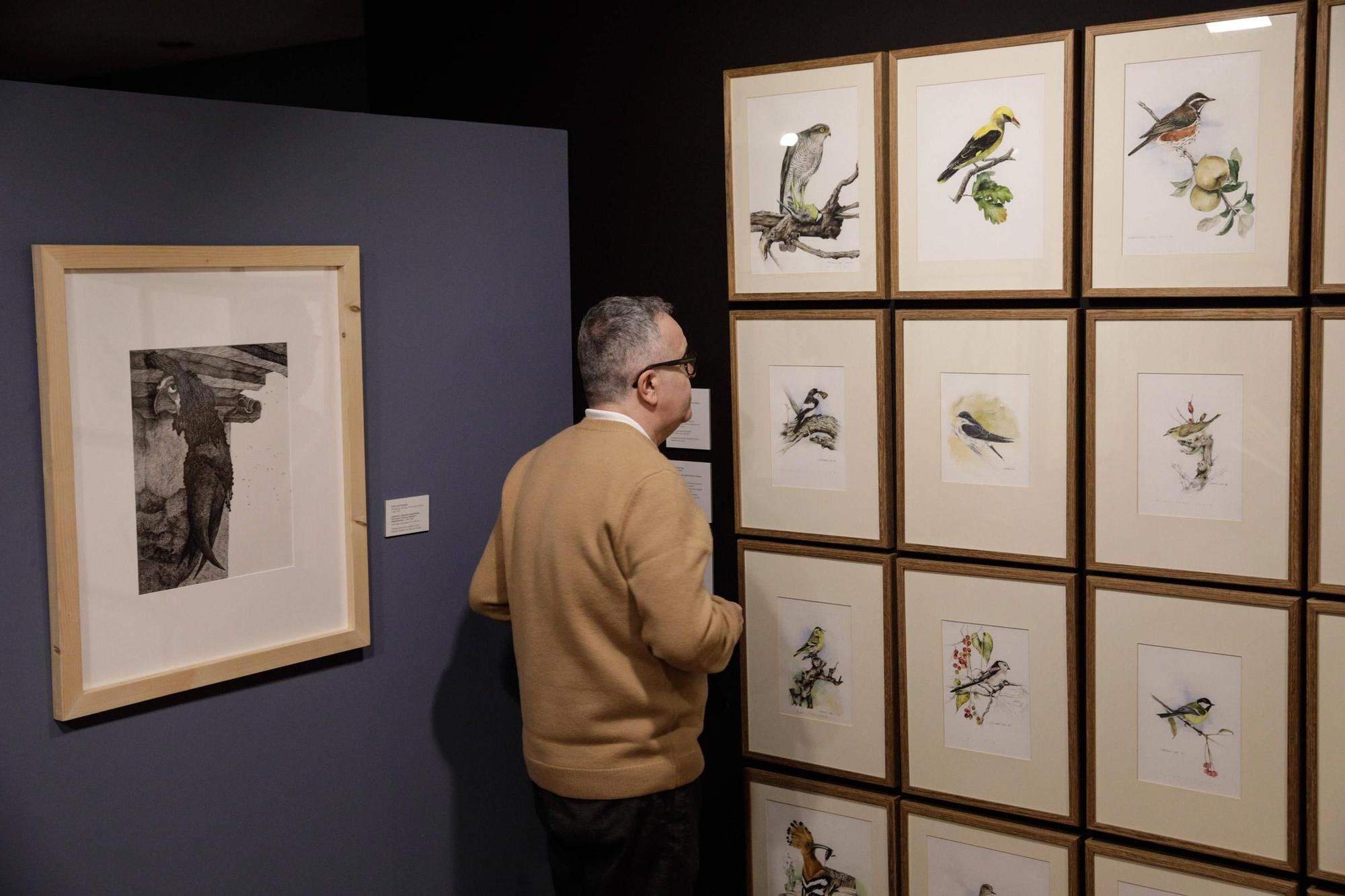 Inauguración exposició "Aves y paisajes" en el Museo Evaristo Valle