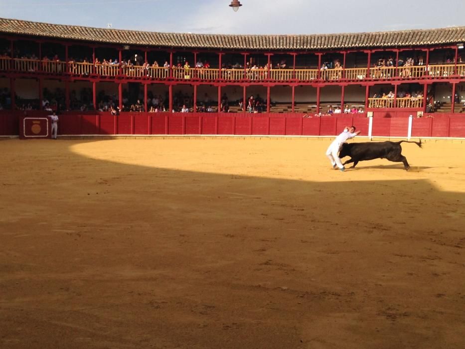 Fiestas Toro- concurso de jóvenes cortadores