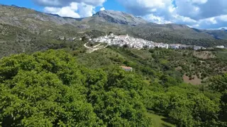Una escapada perfecta a la naturaleza en Andalucía: este es el sendero rural que une dos pueblos con encanto únicos