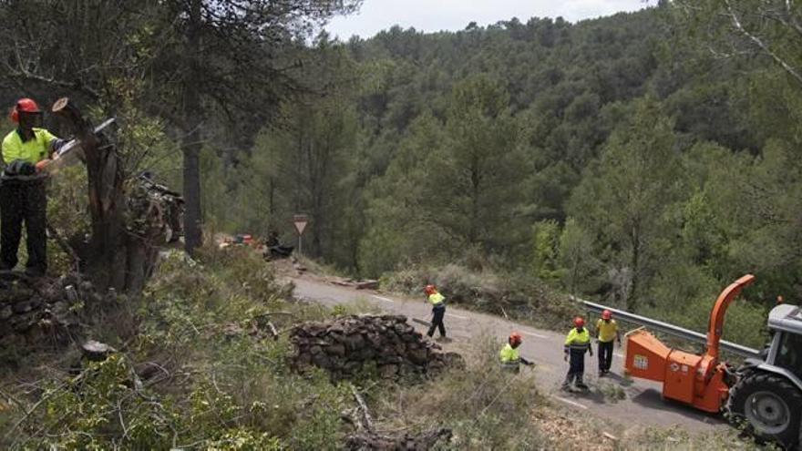 La diputación refuerza la prevención de incendios  en las zonas más sensibles