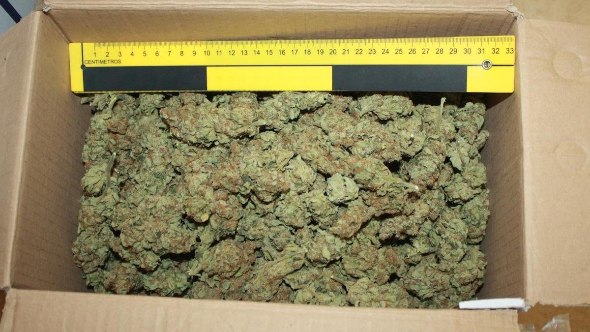 La marihuana interceptada por la Guardia Civil.