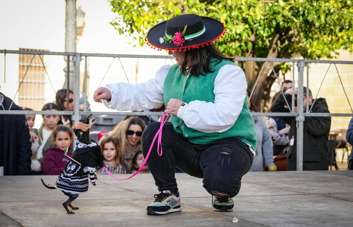 Una perra participa disfrazada de extremeña.