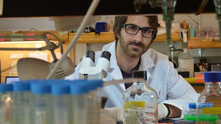 Premian la investigación de Antoni Celià sobre el cáncer de mama y su metástasis