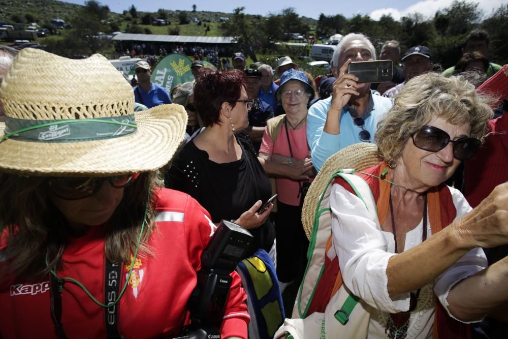 Fiesta del Asturcón en el Sueve