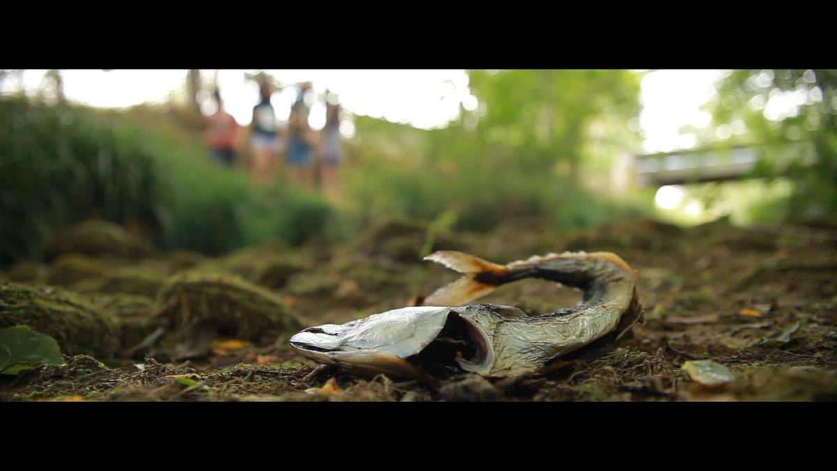 Imagen del cortometraje francés &quot;Pas Cap?&quot;