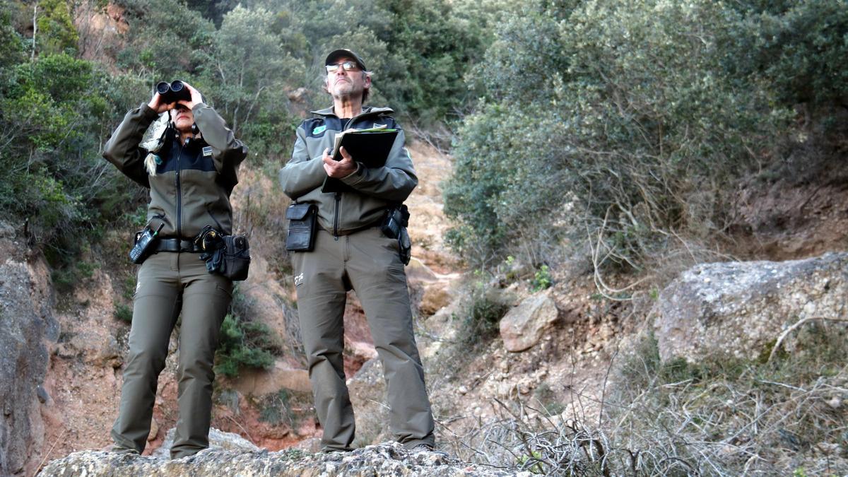 Agents Rurals fent un seguiment Montserrat