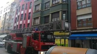 Intervención de bomberos por un nido de avispas en Gijón