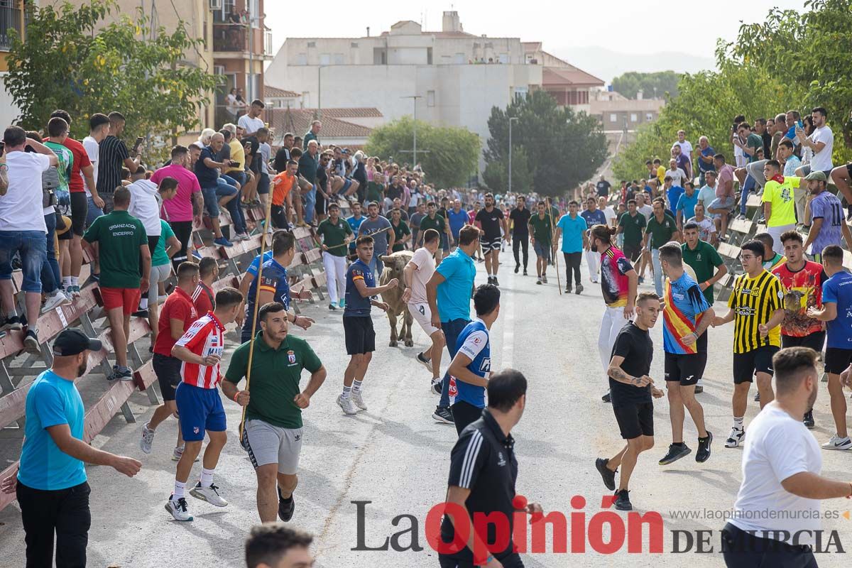 Segundo encierro de la Feria Taurina del Arroz en Calasparra