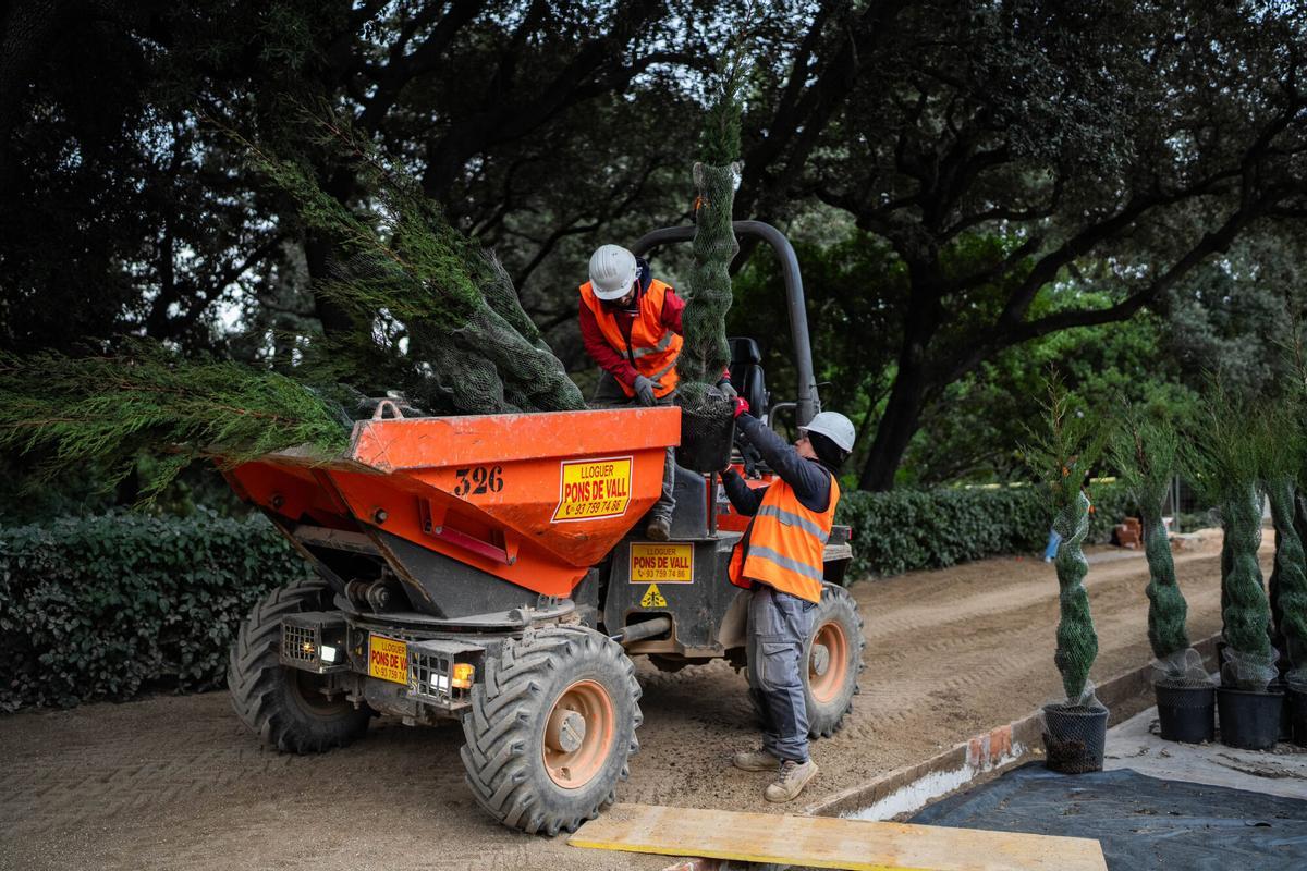 Visita exclusiva al Laberint d’Horta, cerrado durante un año por obras de restauración. Ya se están realizando nuevas plantaciones para recuperar sus jardines históricos. Barcelona, 4 de diciembre de 2025.