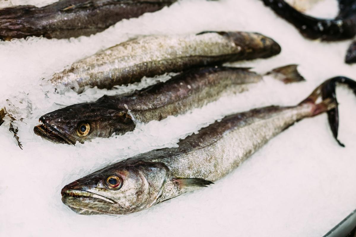 La sobrepesca es una de las causas de la caída de población de la merluza