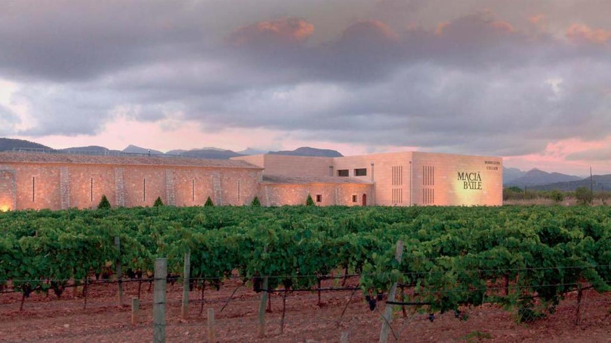 Viñedos y edificio principal de las Bodegas Macià Batle.