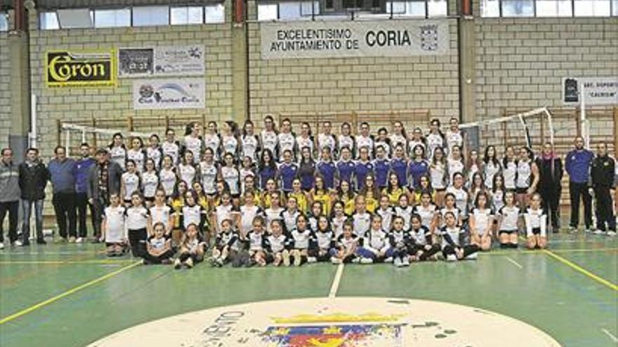 El Club Voleibol de Coria inicia la nueva temporada con once equipos