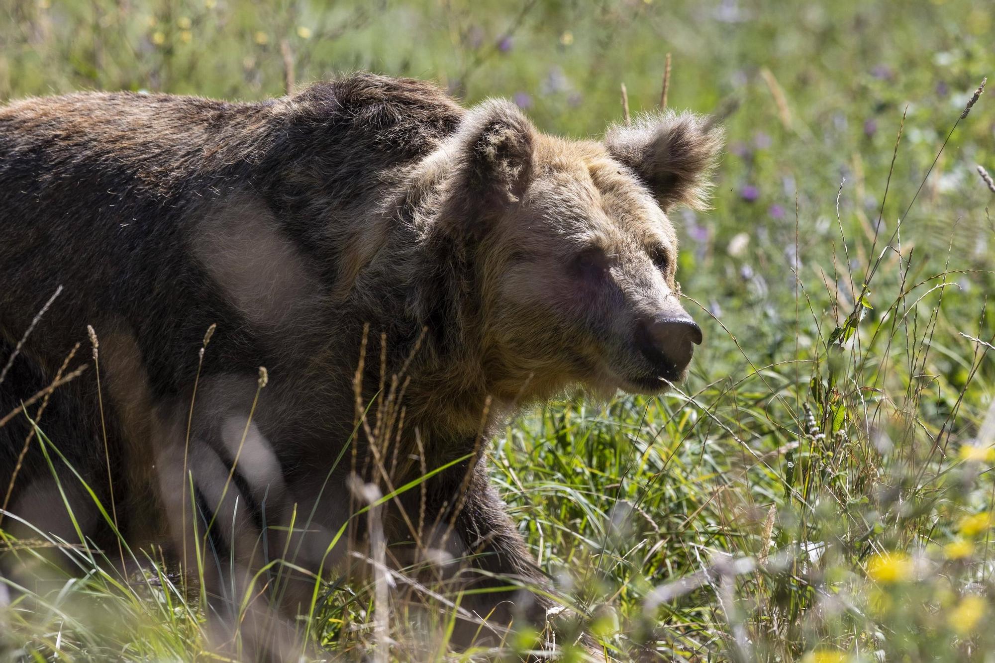 230726LNE_MIKI LOPEZ (178886705).jpg