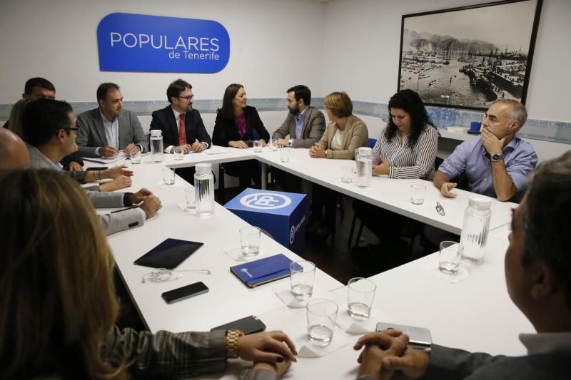 Antona preside la reunión del comité del PP