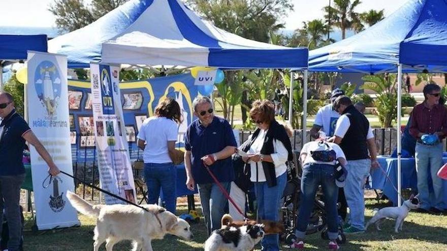 Fuengirola celebrará el XIII Día del Perro, el 21 de abril, en la ladera del Castillo Sohail