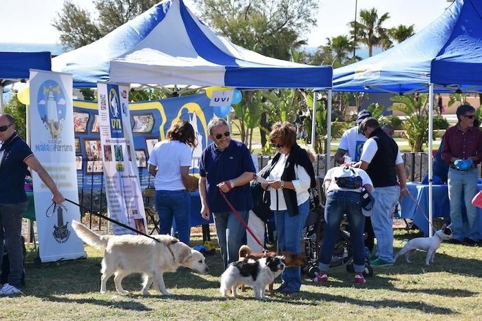 Decenas de personas se reunieron junto al Castillo Sohail para celebrar el Día del perro que se celebra desde hace siete años en Fuengirola.