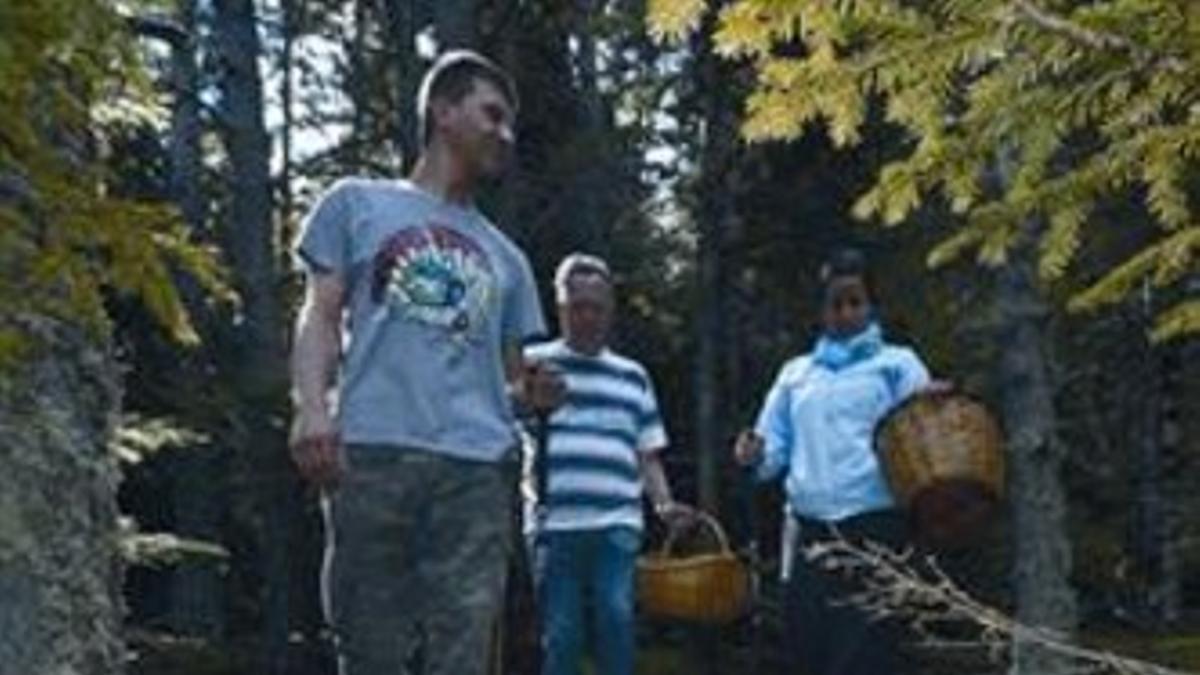 'Boletaires' en el bosque en Sant Joan de l'Erm (Alt Urgell), la semana pasada.