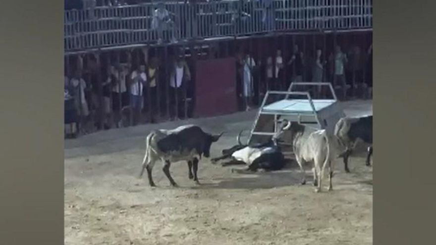 Llegada de los tres primeros atletas a meta
