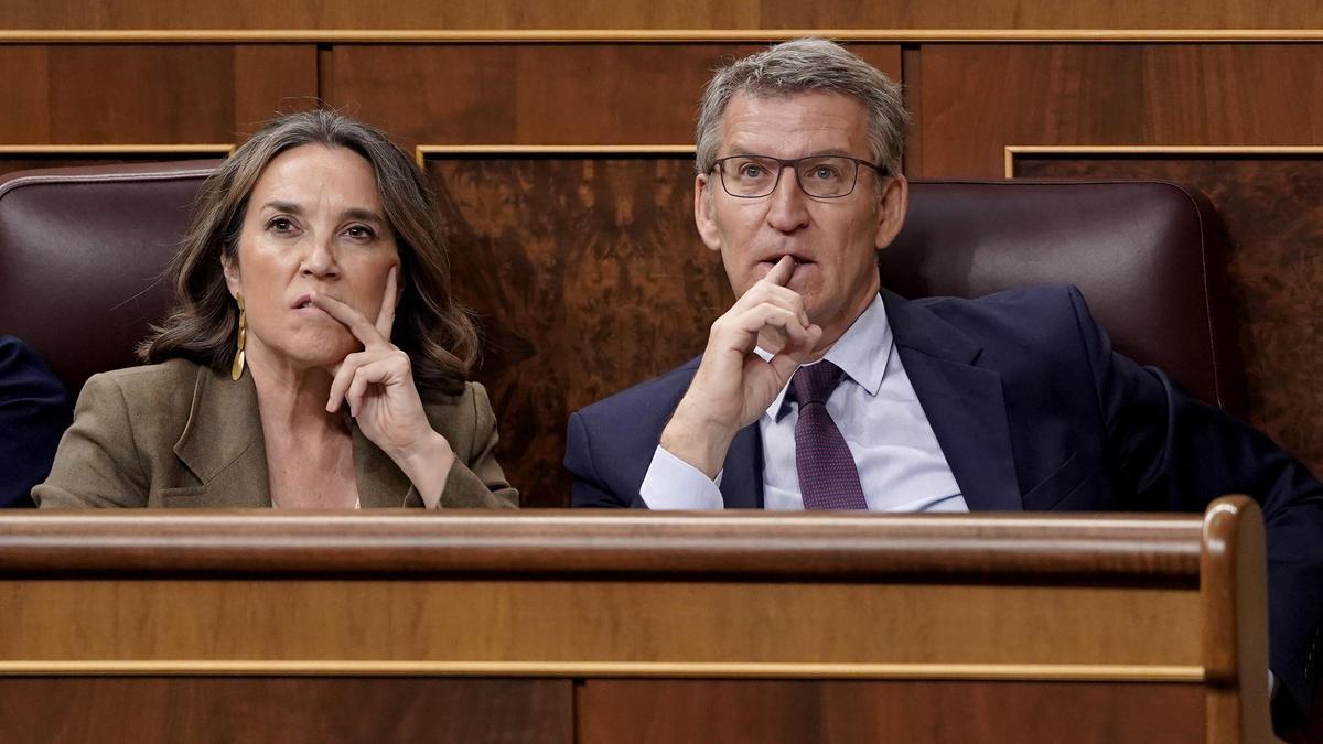 Alberto Núñez Feijóo y Cuca Gamarar en el Congreso de los Diputados.