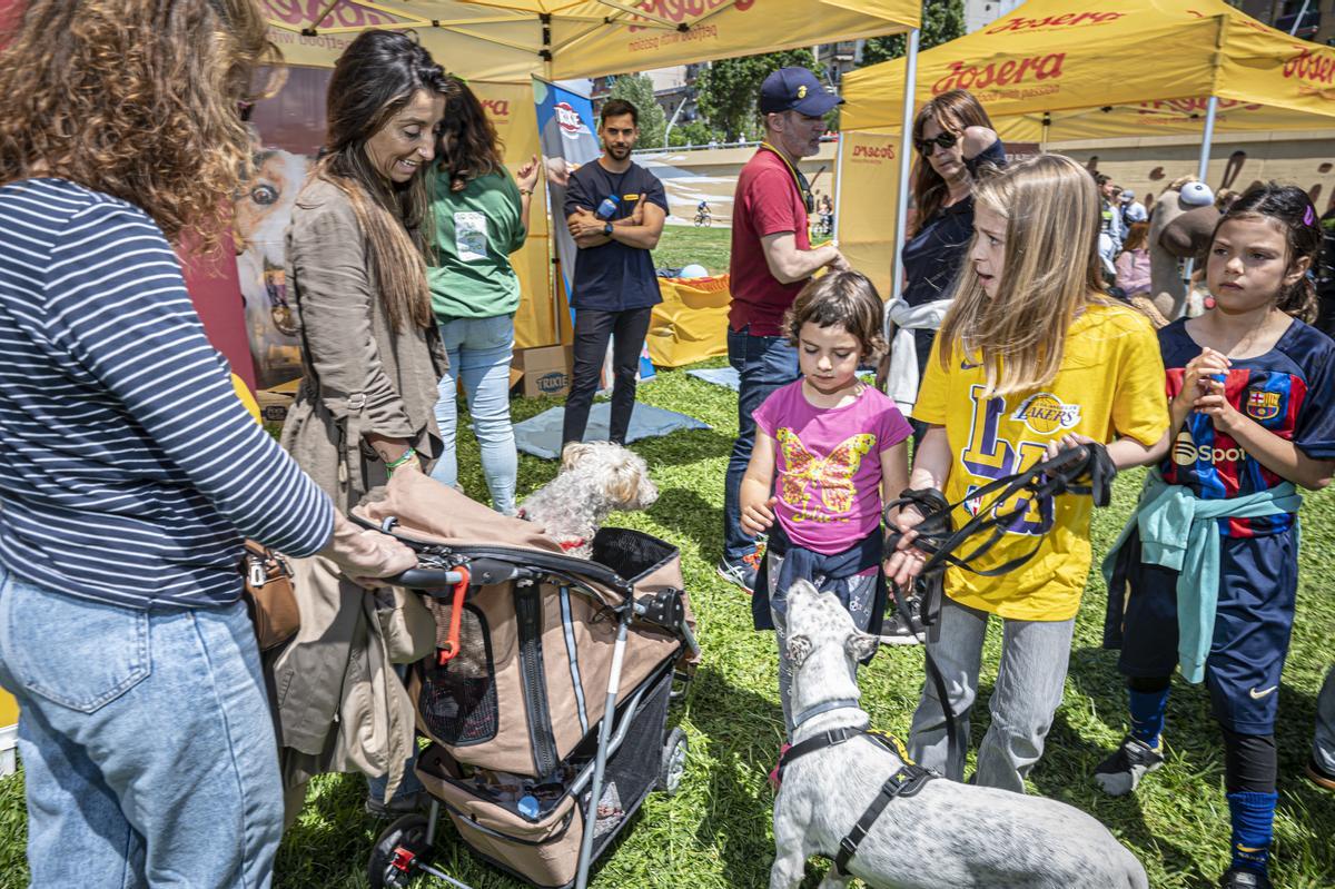 CAN WE RUN BARCELONA. La carrera organizada por Prensa Ibérica y El Periódico de Catalunya con la colaboración de Sport ,  donde las personas y sus mascotas perrunas corren en familia