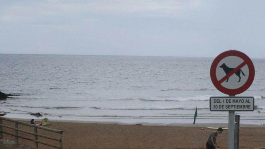 La playa de Xivares, ayer, con la bandera verde.