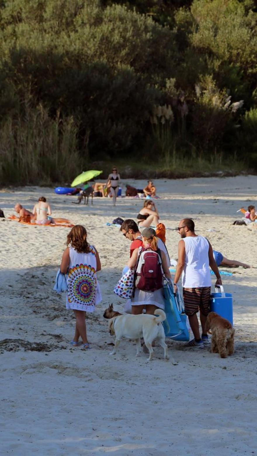 O Grove, proclamado mejor destino turístico de España para viajar con perro  - Faro de Vigo