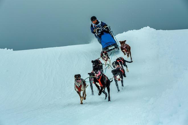 Carrera de trineos tirados por perros en Pirineos