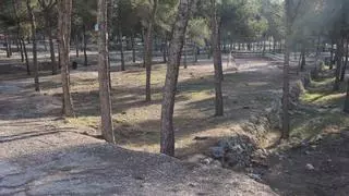 Los proyectos para los que Benidorm ha pedido una subvención de más de 700.000 euros