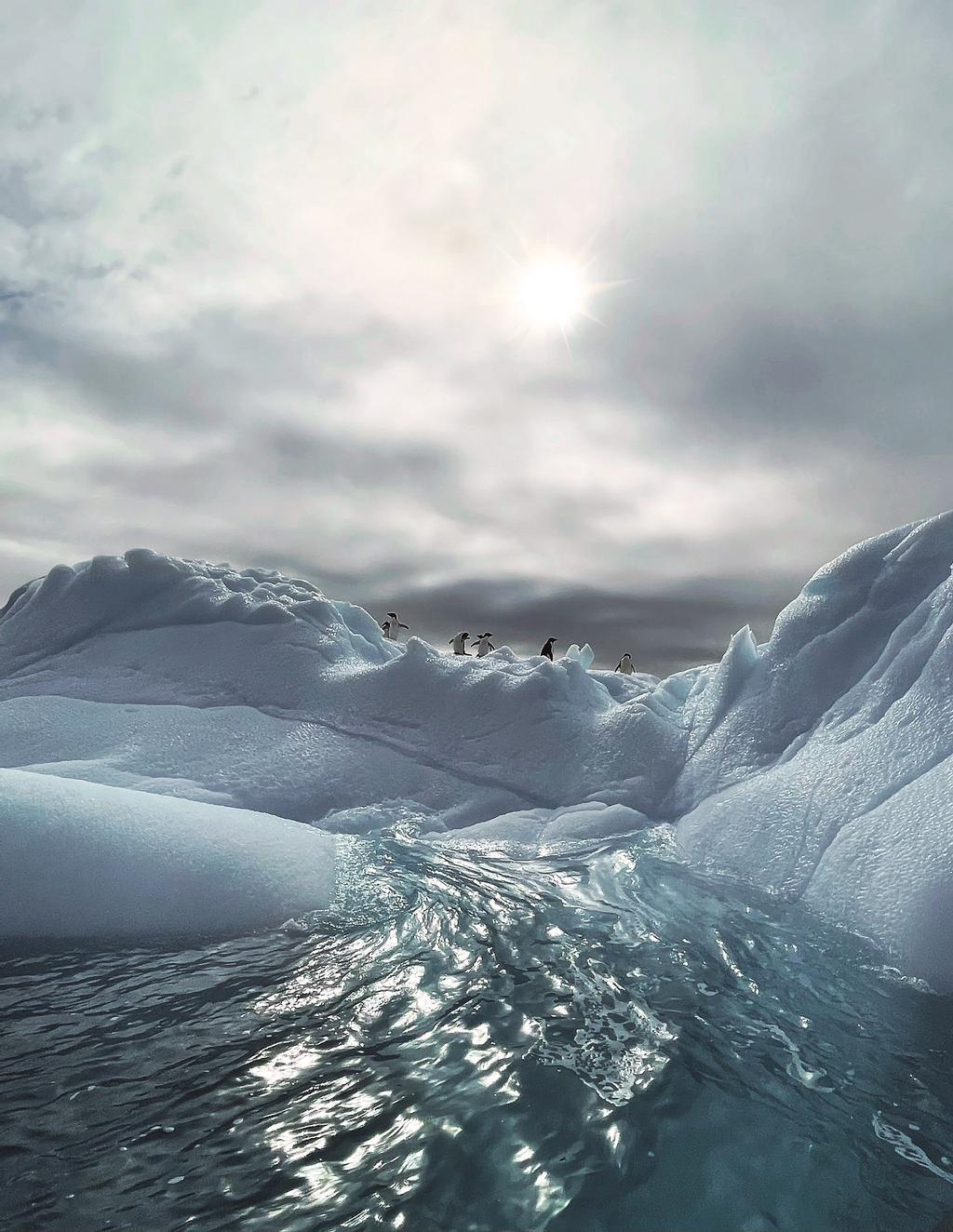 Icebergs en Recess Cove.