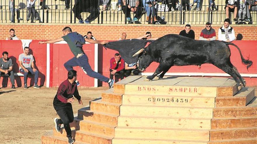 La Paloma lidera el ránking de mejores reses de la Pascua