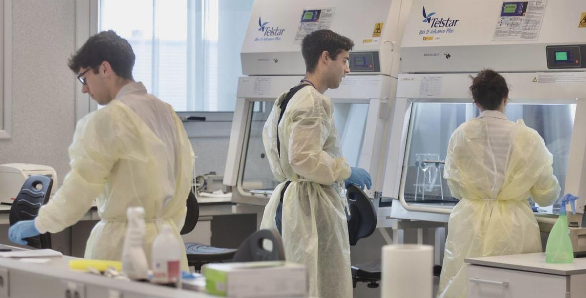 Álvaro Esteban, Pablo Álvarez y Catarina Leal en el laboratorio de patógenos. | IRMA COLLÍN