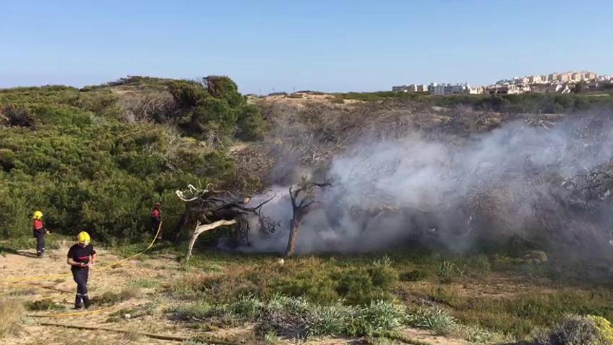 Los bomberos han extinguido un incendio en la pinada del Parque Natural Municipal del Molino del Agua en Torrevieja