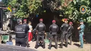 Los boinas rojas del GAR y el Seprona desmantelan dos criaderos con 88 gallos de pelea en El Vacie