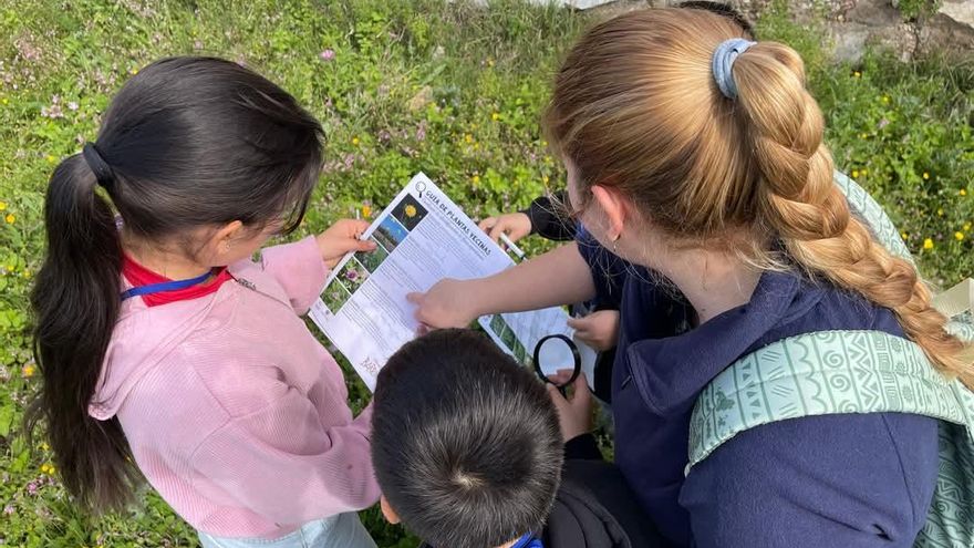 La UCO acerca con ‘Planeta Barrio’ las plantas ‘vecinas’ a los coles de Córdoba