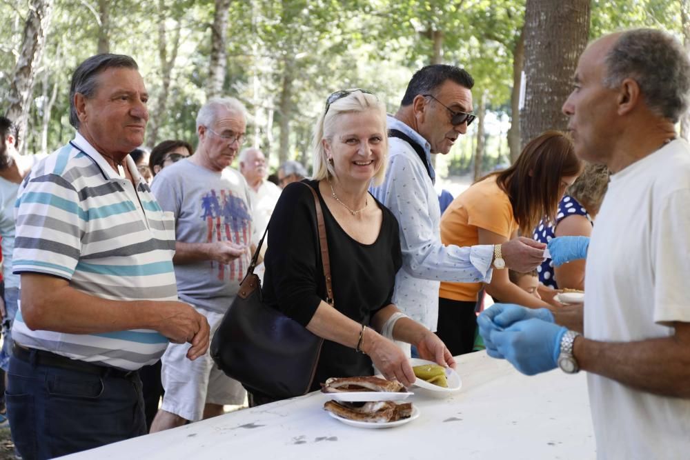 Churrasco, mejillones, sardinas y pulpo hasta empacharse en el parque forestal de Candeán.