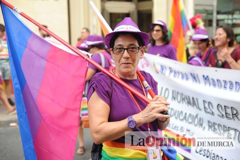 Desfile del Orgullo LGTBI