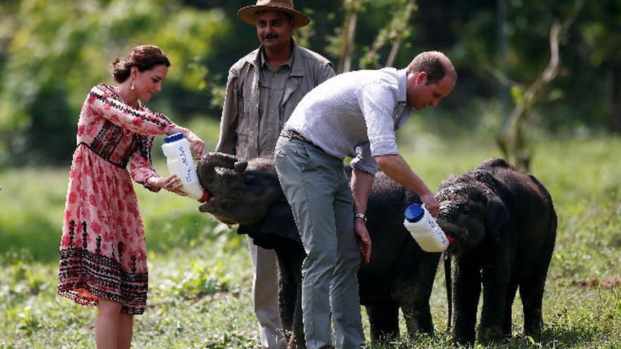 Los duques de Cambridge, Guillermo y Catalina, en el Parque Nacional indio de Kaziranga.