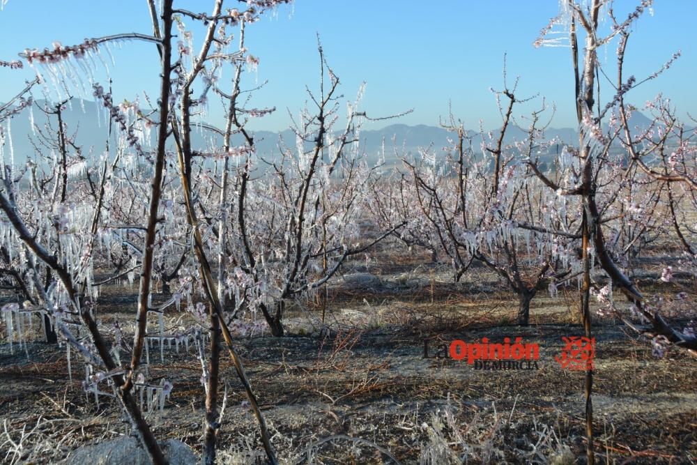 Helada en Cieza 9 de febrero de 2018