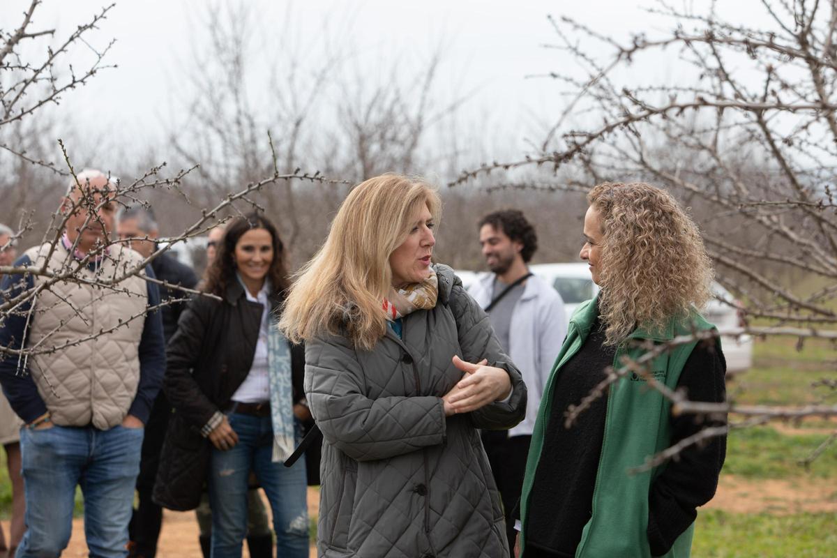 as cooperativas agroalimentarias impulsan una experiencia que aúna agricultura y turismo en una finca de almendros