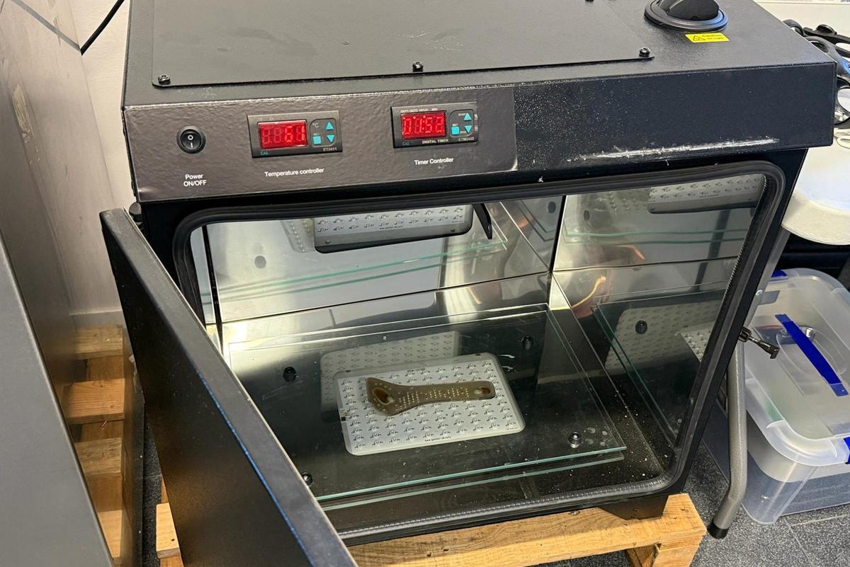 Les imatges de l'estudi de les fèrules impreses en 3D