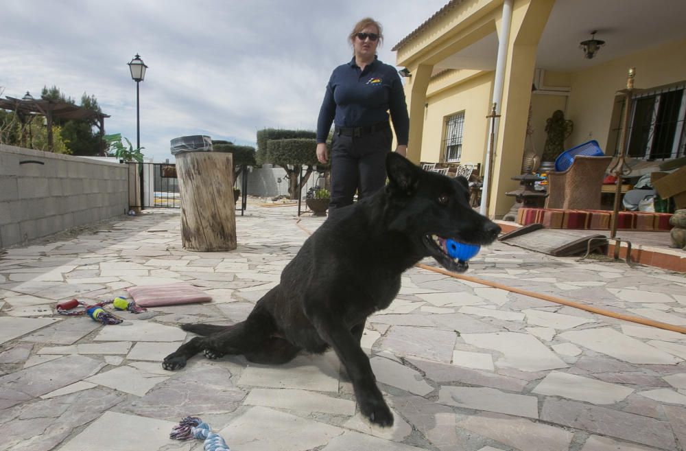 Isabel jugando con la perra en dos imágenes en las que se aprecian los problemas en sus patas traseras