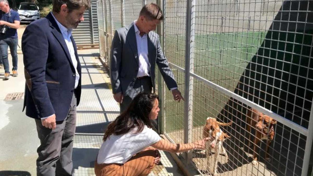 El president del Consell Comarcal de la Selva, Salvador Balliu, saludant uns gossos durant una visita al Centre d&#039;Acollida d&#039;Animals de la Selva