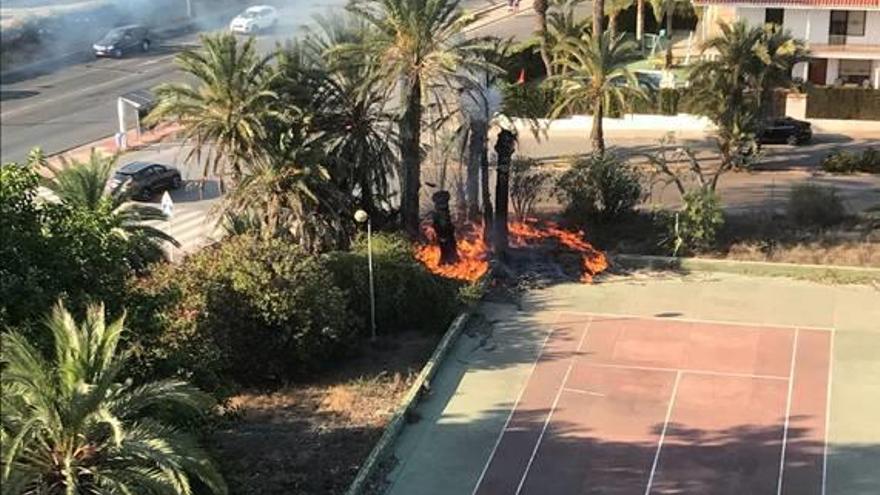 Susto por un incendio en el solar del acceso a La Veleta
