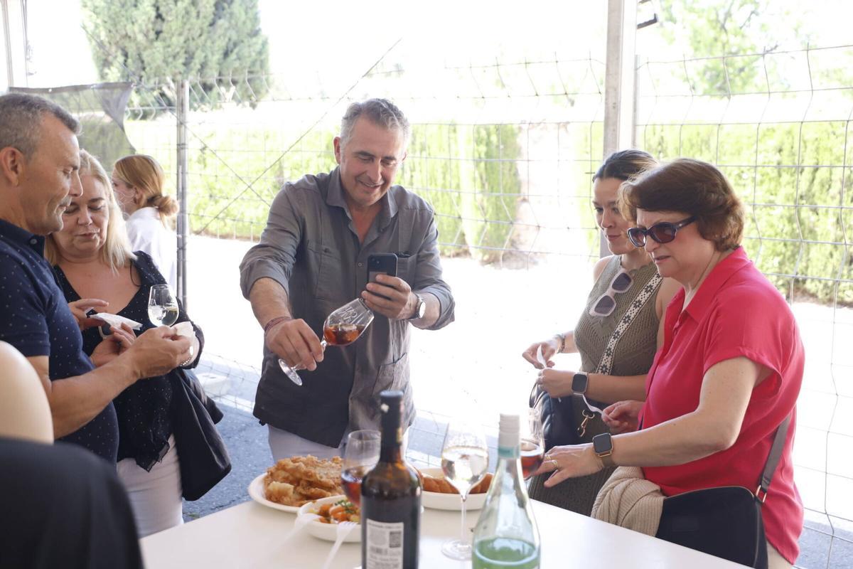 Catas de vino domingo