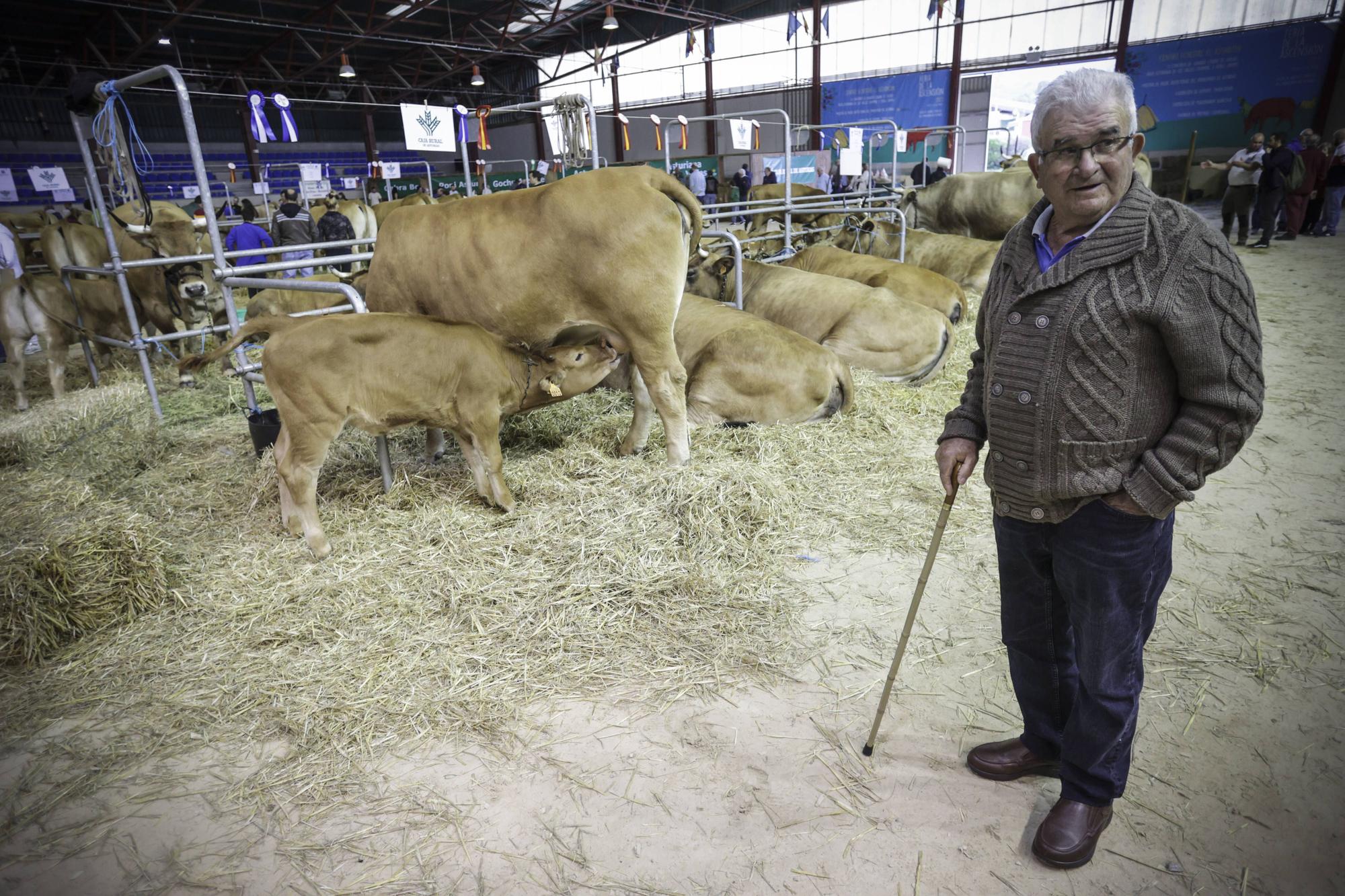 La Ascensión en Oviedo en 2023: todas las fotos