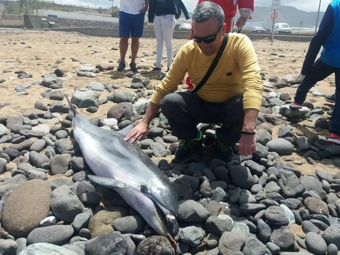 La horrible vivencia de un bañista en la playa del Agujero de Gáldar