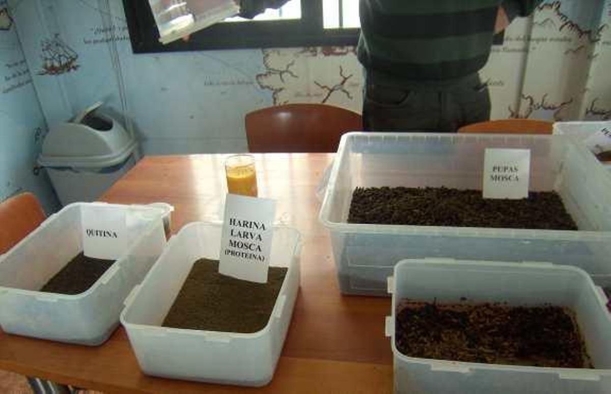 De excrementos a productos rentables