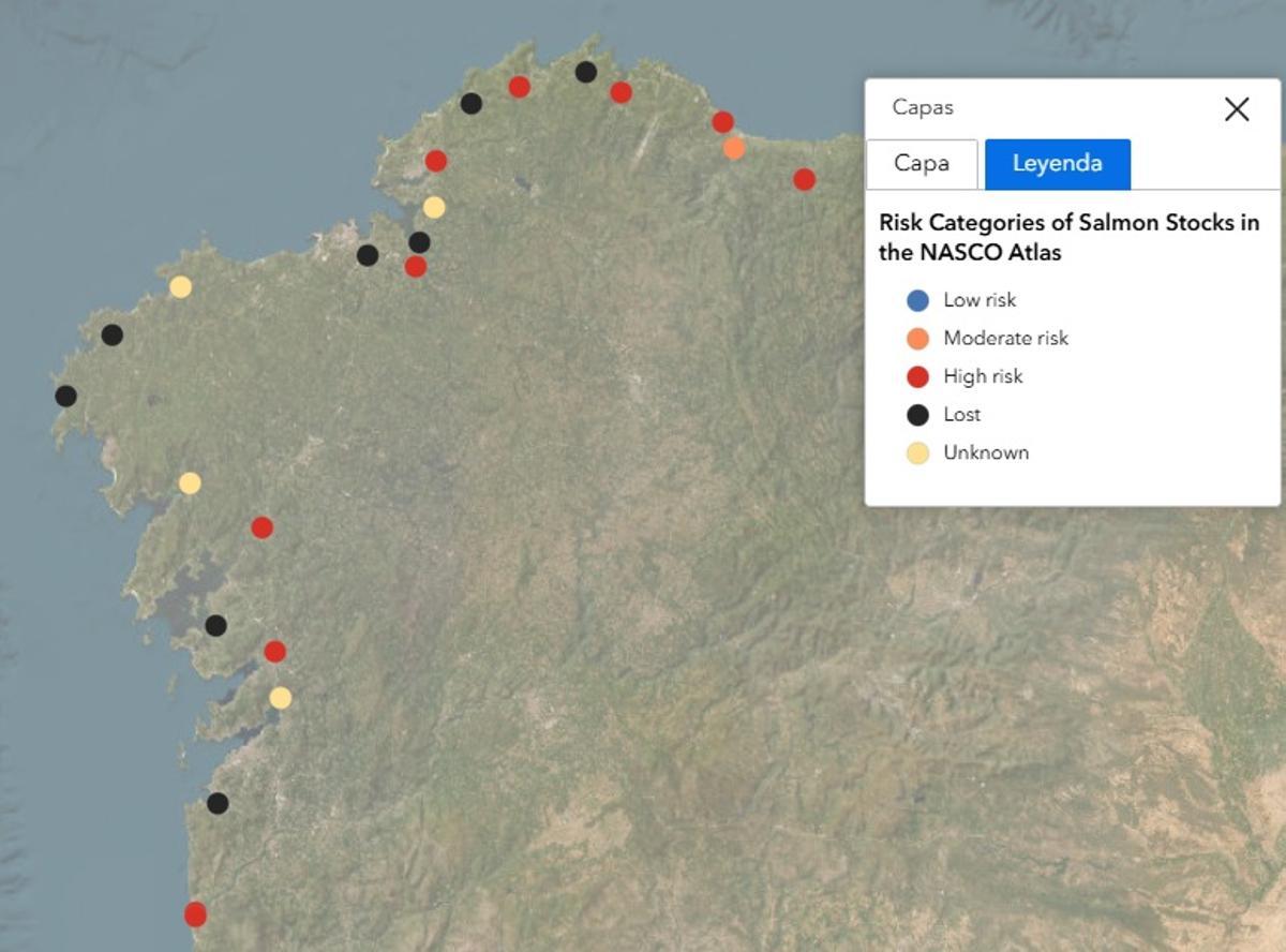 Atlas del salmón atlántico en Galicia.